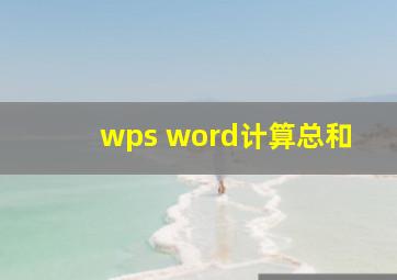 wps word计算总和